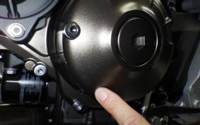 YAMAHA XSR900 GP 2024 RN96J