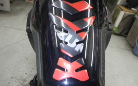 SUZUKI Vｽﾄﾛｰﾑ250A 2001