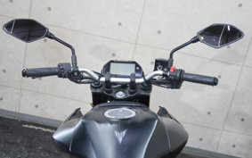 YAMAHA MT-25 RG74J