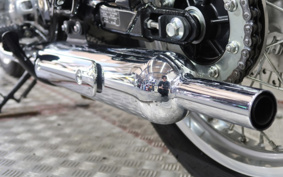KAWASAKI W800 2022 EJ800E