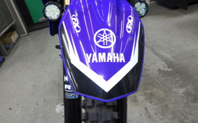 YAMAHA WR250R 2019 DG15J
