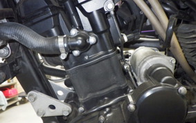 KAWASAKI KLX250D TRACKER X LX250V