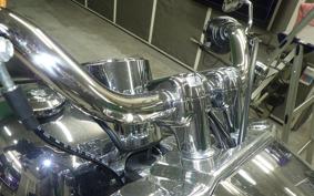 HARLEY FLSTFI1920 2025