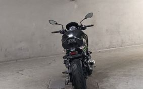 KAWASAKI Z900 2019 ZR900B