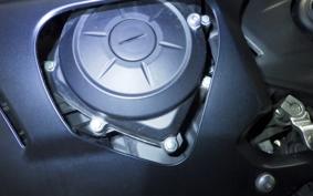 YAMAHA YZF-R25 A 2015 RG74J