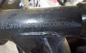 OTHER +UNREGISTERED MODEL by BDS50