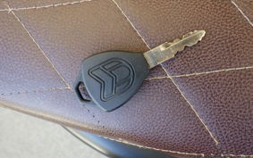 OTHER +UNREGISTERED MODEL by BDS250