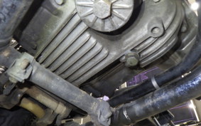 KAWASAKI Z250 Limited 2025 KZ250H