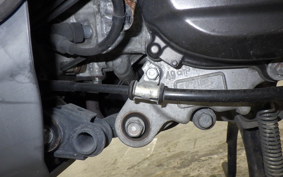 HONDA TACT-4ﾍﾞｰｼｯｸ 2025 AF79