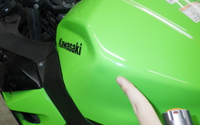 KAWASAKI NINJA 400 2019 EX400G