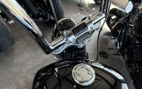 HARLEY FXST1340-1450 2020 BVJ