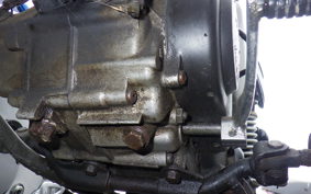 HONDA GORILLA