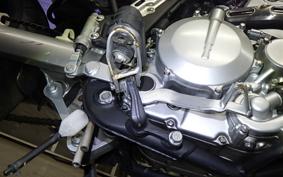 KAWASAKI KLX250D TRACKER X LX250V