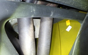 TRIUMPH DAYTONA 675 SE 2013