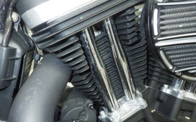 HARLEY XL883N 2015