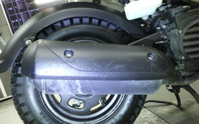 HONDA ZOOMER