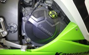 KAWASAKI NINJA 250 2009 EX250L