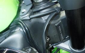 KAWASAKI NINJA ZX-6R A 2022 ZX636G
