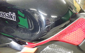 KAWASAKI NINJA 1000SX 2024 ZXT02K