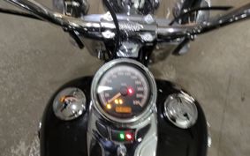 HARLEY FLSTC 1690 BWV