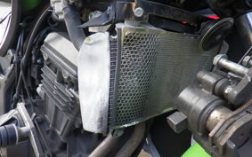 KAWASAKI NINJA 250 ABS EX250L