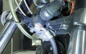 KAWASAKI 350SS 2021 S2T