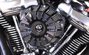 HARLEY FLFBS 2018 YGK