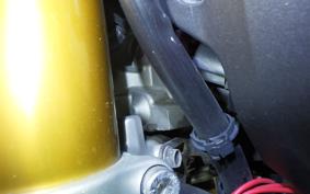 YAMAHA MT-09 2014 RN34J