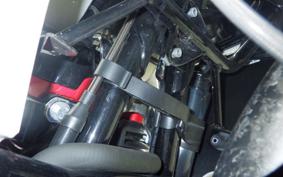 HARLEY FLTRXSTSE1980CVO 2024