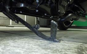 HARLEY FLTRX1920 2024