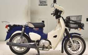HONDA C110 SUPER CUB 2016 JA61
