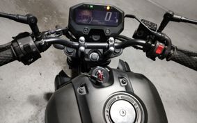 YAMAHA FZX150 RG73