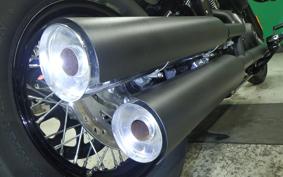 HARLEY FXBB1750 2018
