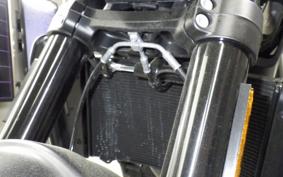 HUSQVARNA スバルトピレン801 2025