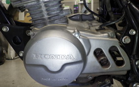 HONDA APE 50 2023 AC16