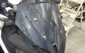 KAWASAKI Z250 ER250C