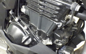 KAWASAKI VERSYS X250 A 2025 LE250D