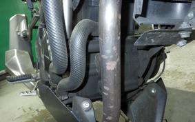 KAWASAKI Z250 SL 2016 BR250E