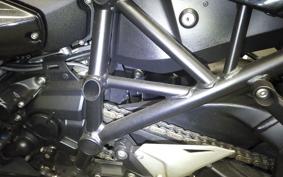 KAWASAKI NINJA H2 SX SE 2020