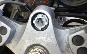 KAWASAKI ZZ-R250 EX250H