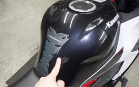 KAWASAKI ZX-25R 1995 ZX250E