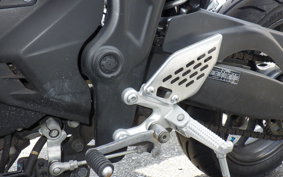 YAMAHA MT-25 RG10J