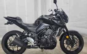 YAMAHA MT-25 RG74J