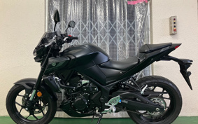 YAMAHA MT-25 ABS RG43J