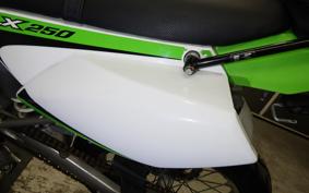 KAWASAKI KLX250 Gen.2 LX250S