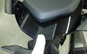 KAWASAKI NINJA 1100SX 2025