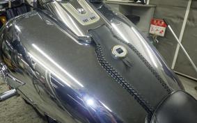 HARLEY FLSTFI1920 2025