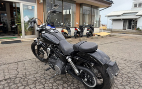HARLEY HARLEY FXDB1580 2017 GXM
