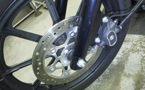 HARLEY XL1200NS 2021