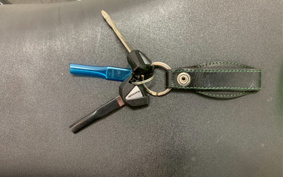 KAWASAKI NINJA ZX-10R 2016 ZXT00S